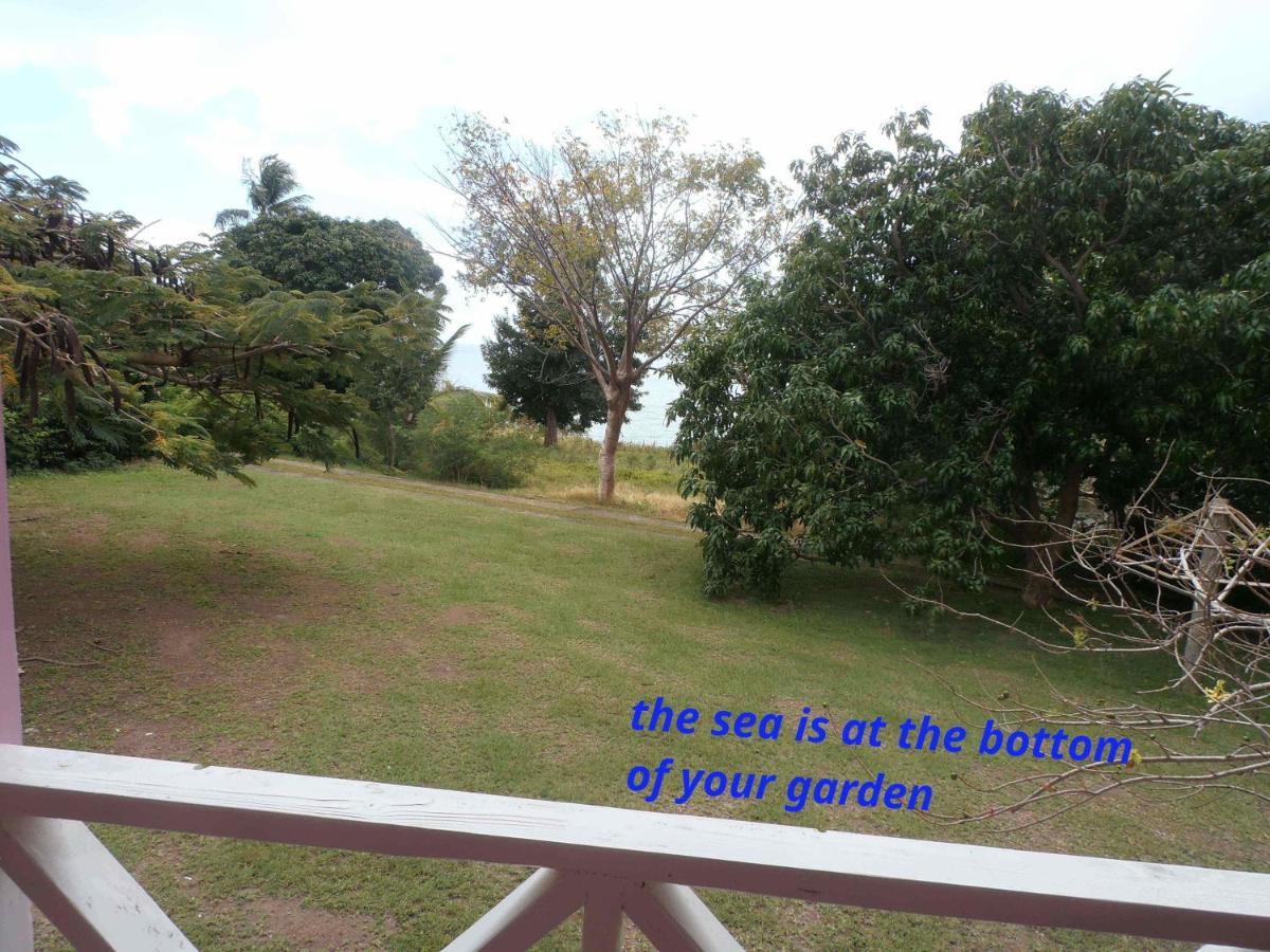 The Pink House Villa Choiseul Bagian luar foto